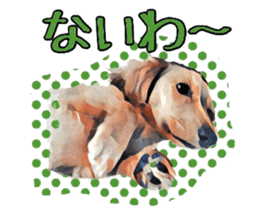 Dachshund real sticker sticker #12786053