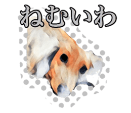 Dachshund real sticker sticker #12786057