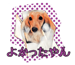 Dachshund real sticker sticker #12786061
