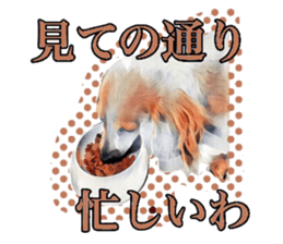 Dachshund real sticker sticker #12786062