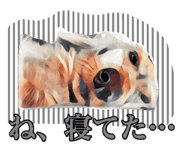 Dachshund real sticker sticker #12786064