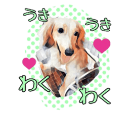 Dachshund real sticker sticker #12786066