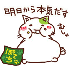 the pad of cat @ maccha