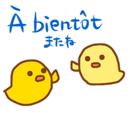 Talk with CHICK in French! sticker #12786224