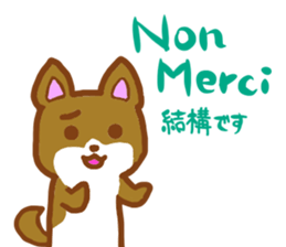 Talk with CHICK in French! sticker #12786236