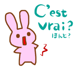 Talk with CHICK in French! sticker #12786247