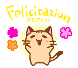 Talk with CHICK in French! sticker #12786258