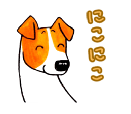 Jack Russell Terrier Sticker 4 sticker #12787250