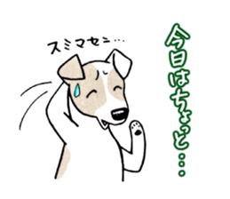 Jack Russell Terrier Sticker 4 sticker #12787260