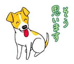 Jack Russell Terrier Sticker 4 sticker #12787269