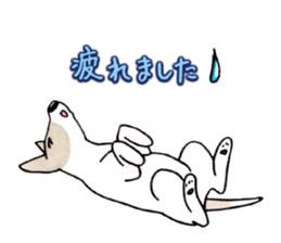 Jack Russell Terrier Sticker 4 sticker #12787274