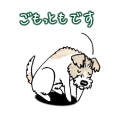 Jack Russell Terrier Sticker 4 sticker #12787277