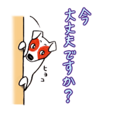 Jack Russell Terrier Sticker 4 sticker #12787278