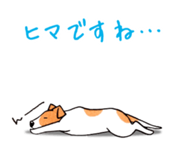 Jack Russell Terrier Sticker 4 sticker #12787283