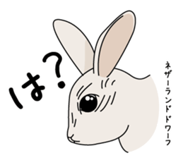 Sticker of Cute USA sticker #12789589