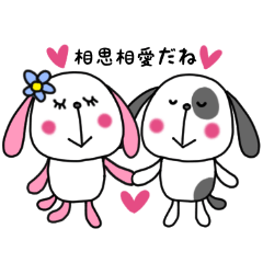 Doggy and cat four characters phrase