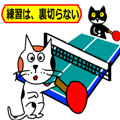 sticker japan cat&gin2