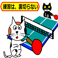 Lineアニメーションスタンプ 動くスタンプ 猫 検索結果 Lineアニメーションスタンプ 動くスタンプ 猫 検索結果