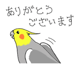 cokatiel sticker #12800167