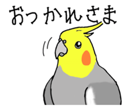 cokatiel sticker #12800169