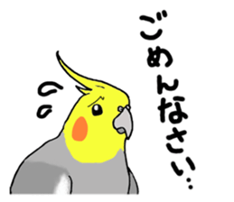 cokatiel sticker #12800172