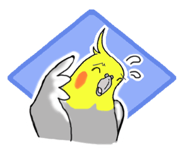 cokatiel sticker #12800173