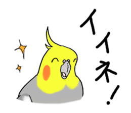 cokatiel sticker #12800175