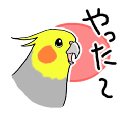 cokatiel sticker #12800177