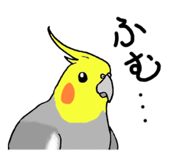 cokatiel sticker #12800178