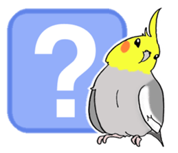 cokatiel sticker #12800179
