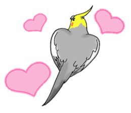 cokatiel sticker #12800181
