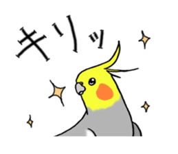cokatiel sticker #12800186