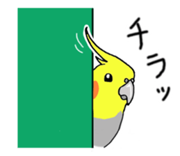 cokatiel sticker #12800188
