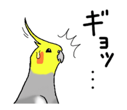 cokatiel sticker #12800189