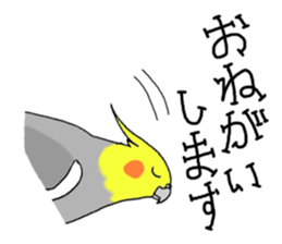cokatiel sticker #12800190