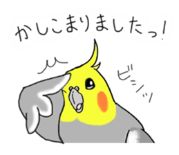 cokatiel sticker #12800191