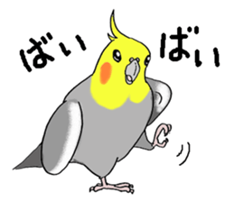 cokatiel sticker #12800195