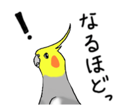 cokatiel sticker #12800198