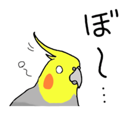 cokatiel sticker #12800199