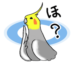cokatiel sticker #12800201