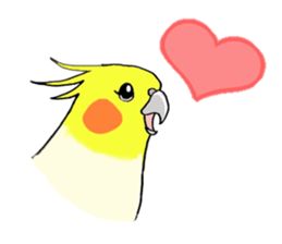 cokatiel sticker #12800202