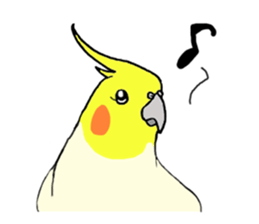 cokatiel sticker #12800204
