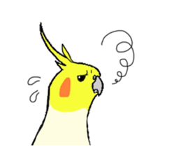 cokatiel sticker #12800205