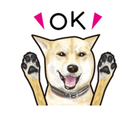 Everyday of cute dog sticker #12801662