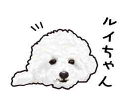 Everyday of cute dog sticker #12801669