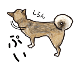 Everyday of cute dog sticker #12801671