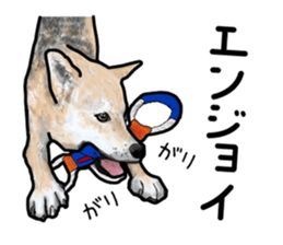 Everyday of cute dog sticker #12801672