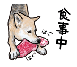 Everyday of cute dog sticker #12801673