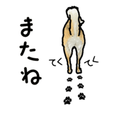 Everyday of cute dog sticker #12801674