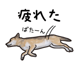 Everyday of cute dog sticker #12801675